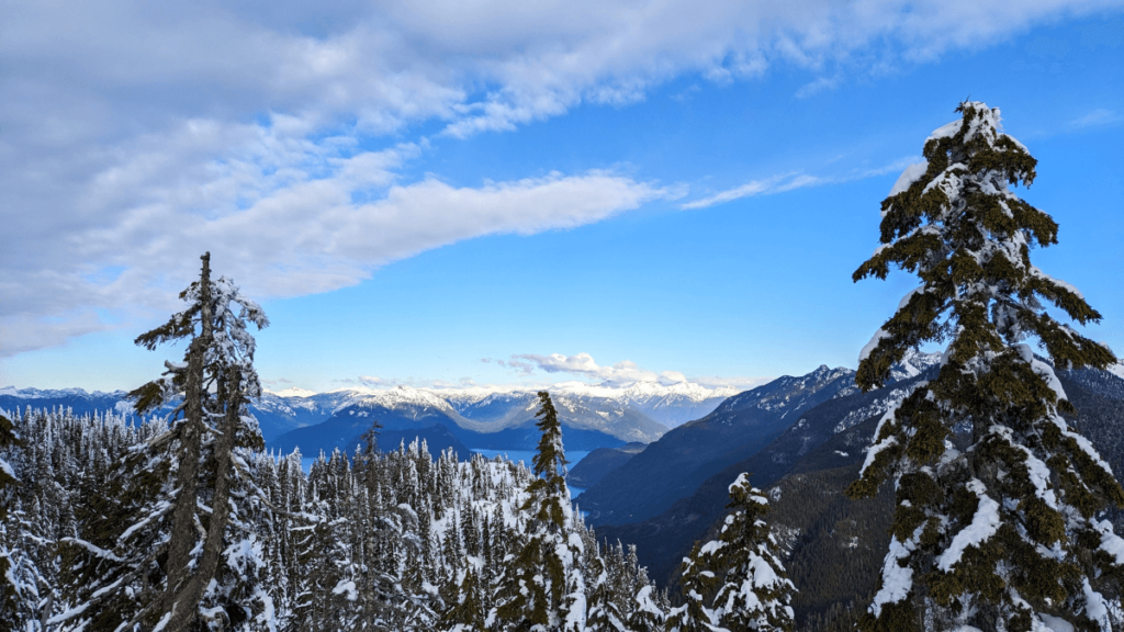 View of Howe Sound from Black mountain, with partially-clouded sky and snow-covered trees