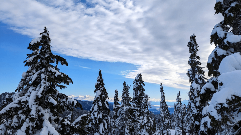 a photo of snow-covered trees and the view from Black Mountain toward Port Moody, BC